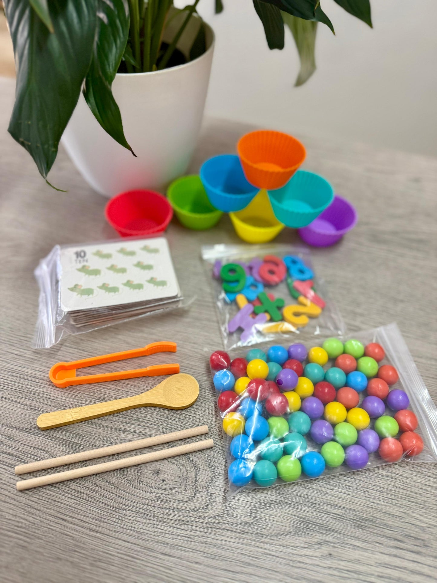 Wooden Number Counting Game Set
