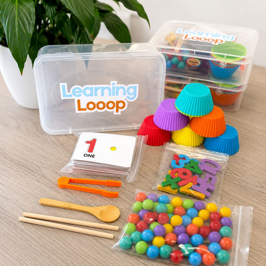 Wooden Number Counting Game Set