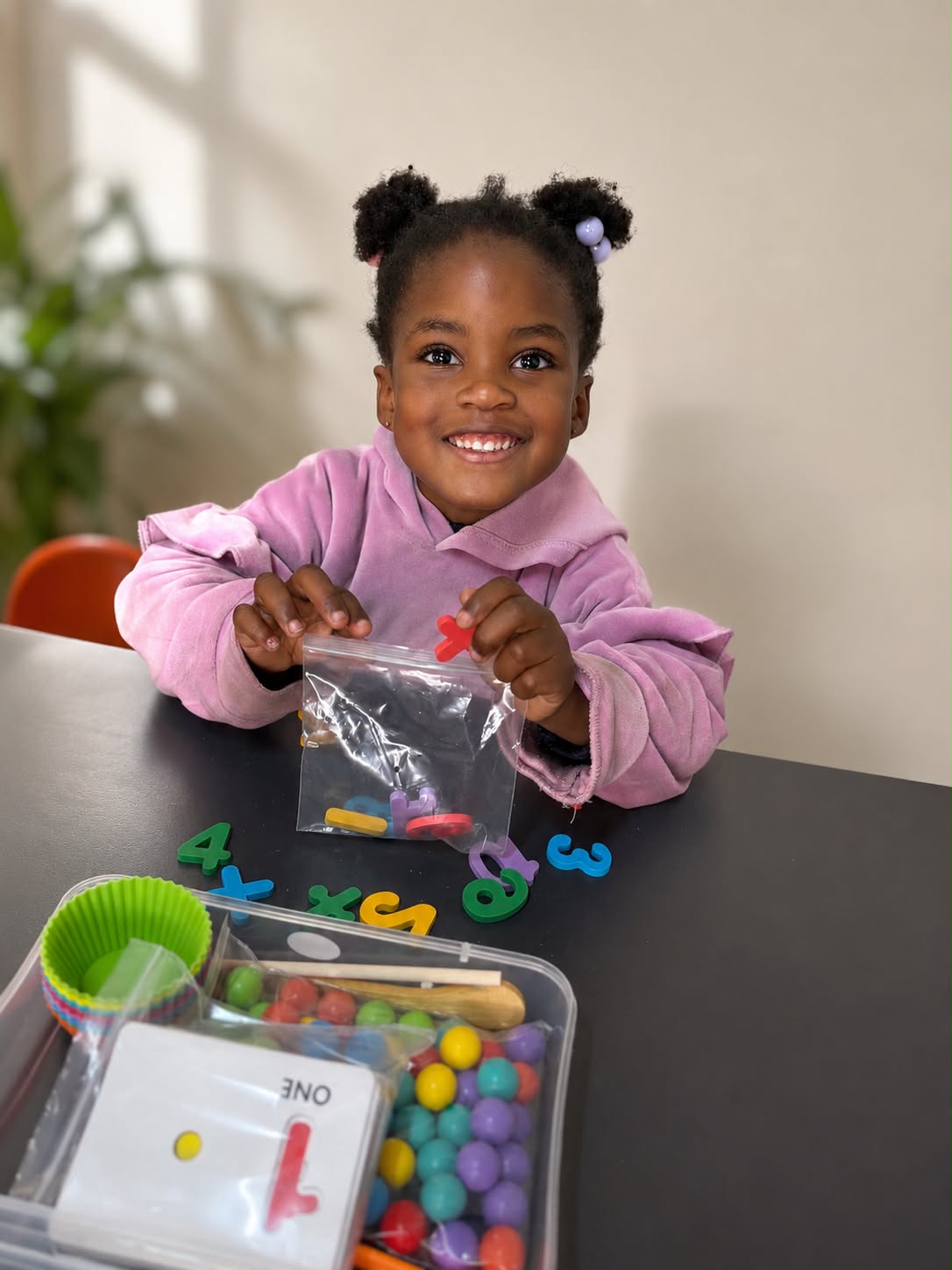 Wooden Number Counting Game Set